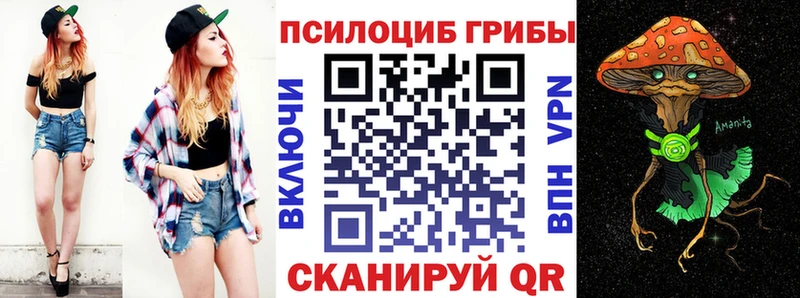 Псилоцибиновые грибы MAGIC MUSHROOMS  Купить закладки  Гулькевичи 