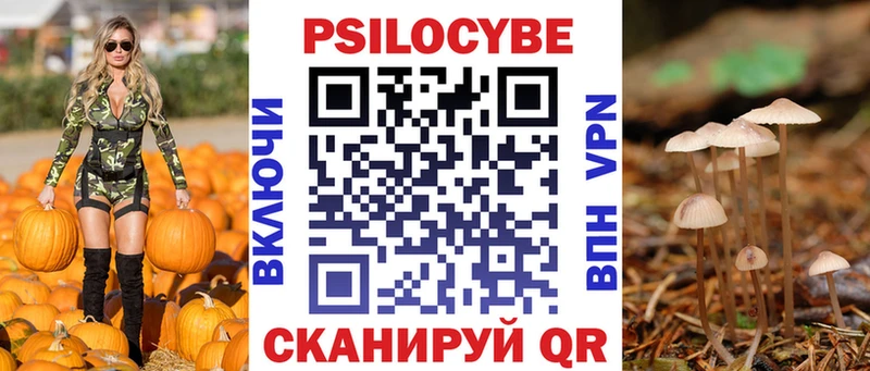 Псилоцибиновые грибы GOLDEN TEACHER Гулькевичи